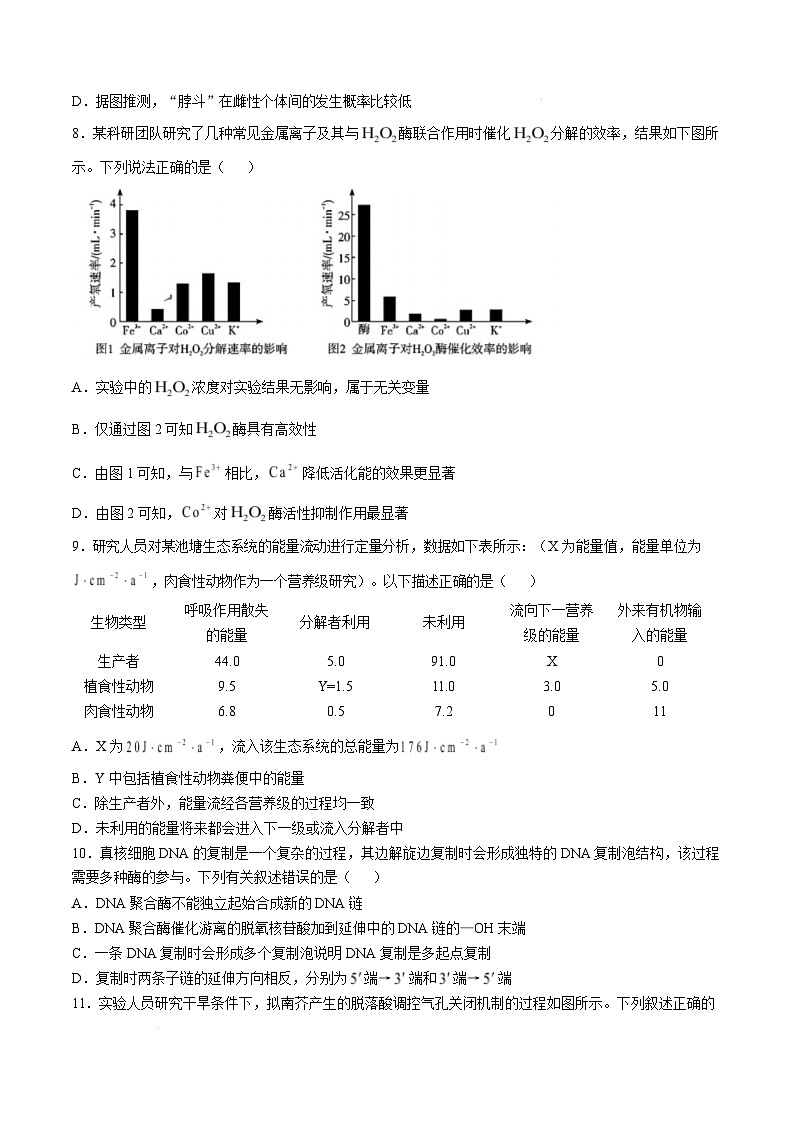 湖南省长沙市长郡中学2024-2025学年高三上学期月考生物（五）试卷（Word版附解析）第3页