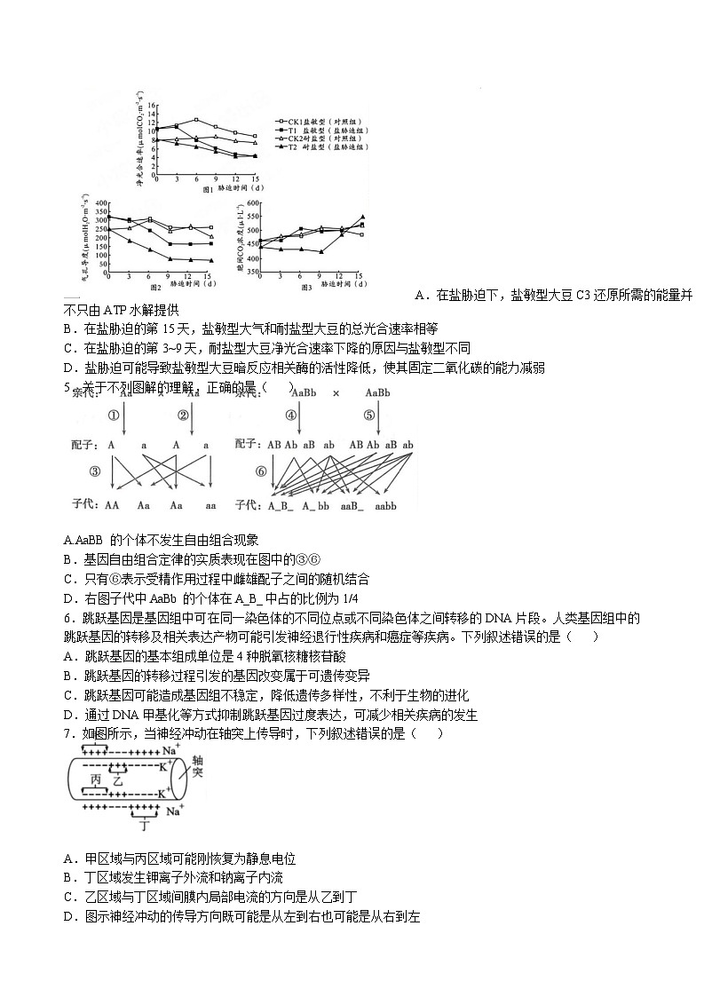 湖南省长沙市长郡中学2024-2025学年高三下学期开学考试生物试卷（Word版附解析）第2页