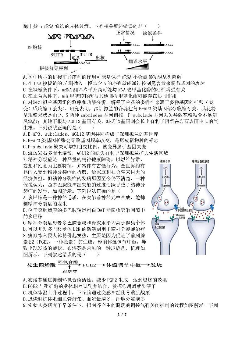 四川省成都市第七中学2024-2025学年高三下学期2月入学考试生物第2页