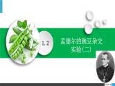 人教版（2019）高中生物必修二 第一章 第二节 孟德尔的豌豆杂交实验（二）课件ppt