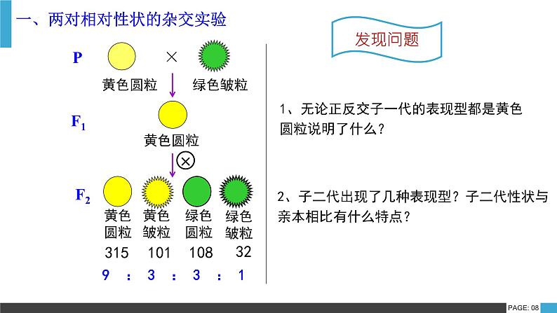 人教版（2019）高中生物必修二 第一章 第二节 孟德尔的豌豆杂交实验（二）课件ppt第8页