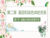 人教版（2019）高中生物必修二 第二章 第一节 减数分裂 课件ppt
