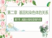 人教版（2019）高中生物必修二 第二章 第一节 减数分裂 课件ppt