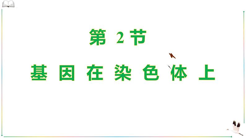 人教版（2019）  高中生物必修二 第二章 第二节 基因在染色体上 课件ppt第1页