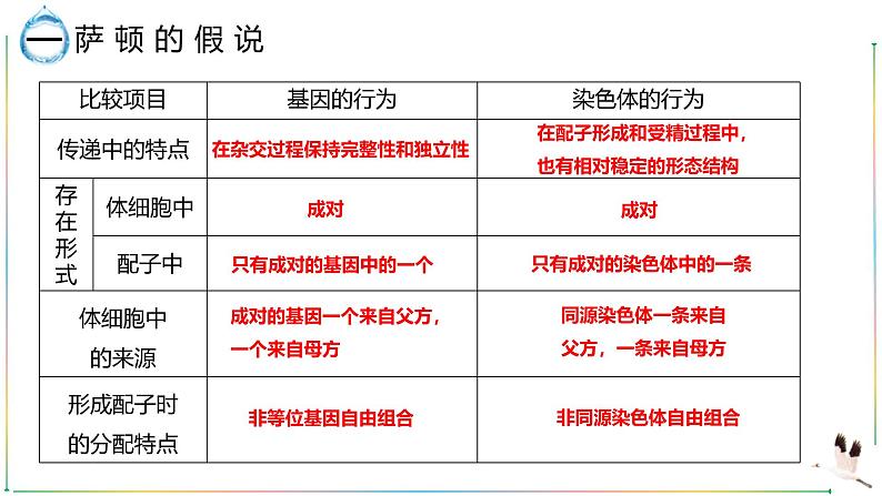 人教版（2019）  高中生物必修二 第二章 第二节 基因在染色体上 课件ppt第8页