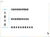人教版（2019）高中生物必修二 第三章 第一节 DNA是主要的遗传物质 课件ppt