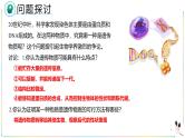 人教版（2019）高中生物必修二 第三章 第一节 DNA是主要的遗传物质 课件ppt