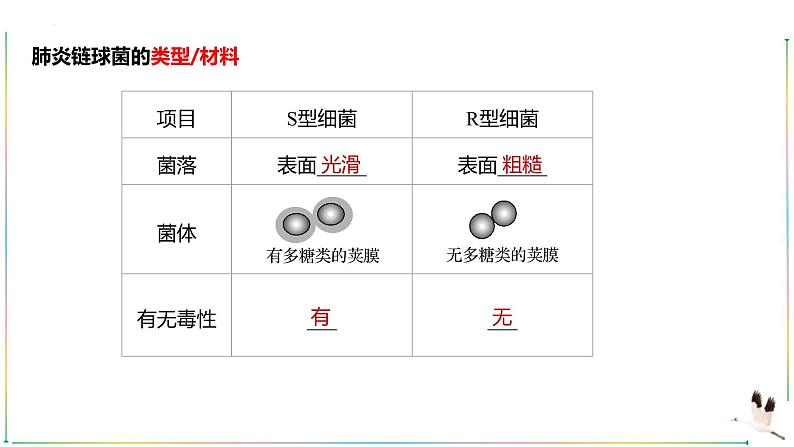 人教版（2019）高中生物必修二 第三章 第一节 DNA是主要的遗传物质 课件ppt第8页