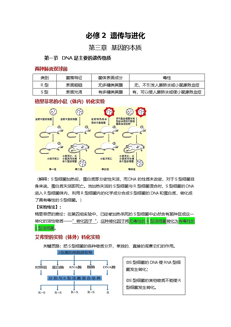 人教版（2019）高中生物必修二 第三章 第一节 DNA是主要的遗传物质 知识清单第1页