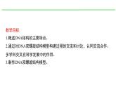 人教版（2019）高中生物必修二 第三章 第二节 DNA的结构 课件ppt