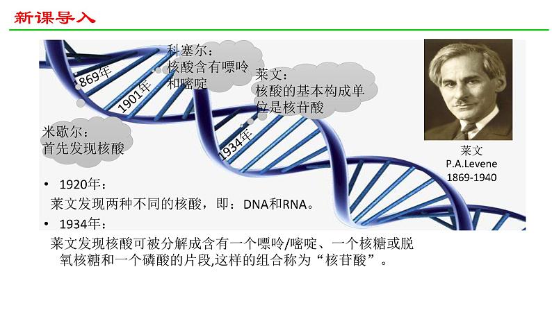 人教版（2019）高中生物必修二 第三章 第二节 DNA的结构 课件ppt第4页