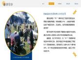 人教版（2019）高中生物必修二 第三章 第三节 DNA的复制 课件ppt