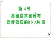 人教版（2019）高中生物必修二 第三章 第四节 基因通常是有遗传效应的DNA片段 课件ppt
