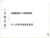 人教版（2019）高中生物必修二 第三章 第四节 基因通常是有遗传效应的DNA片段 课件ppt