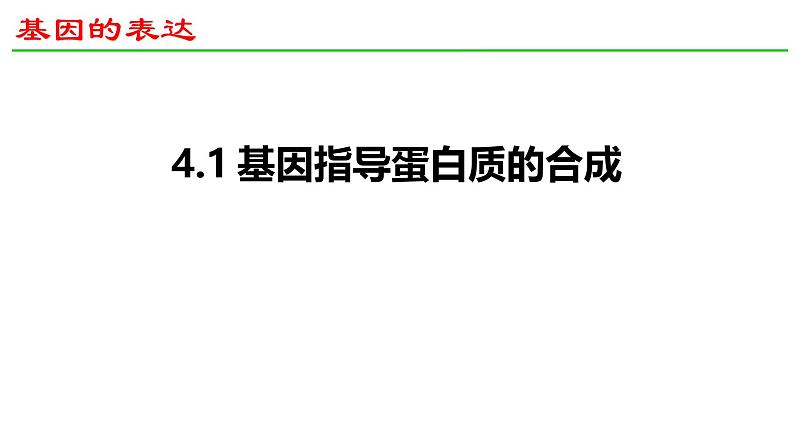 人教版（2019） 高中生物必修二 第四章 第一节 基因指导蛋白质的合成 课件ppt第1页