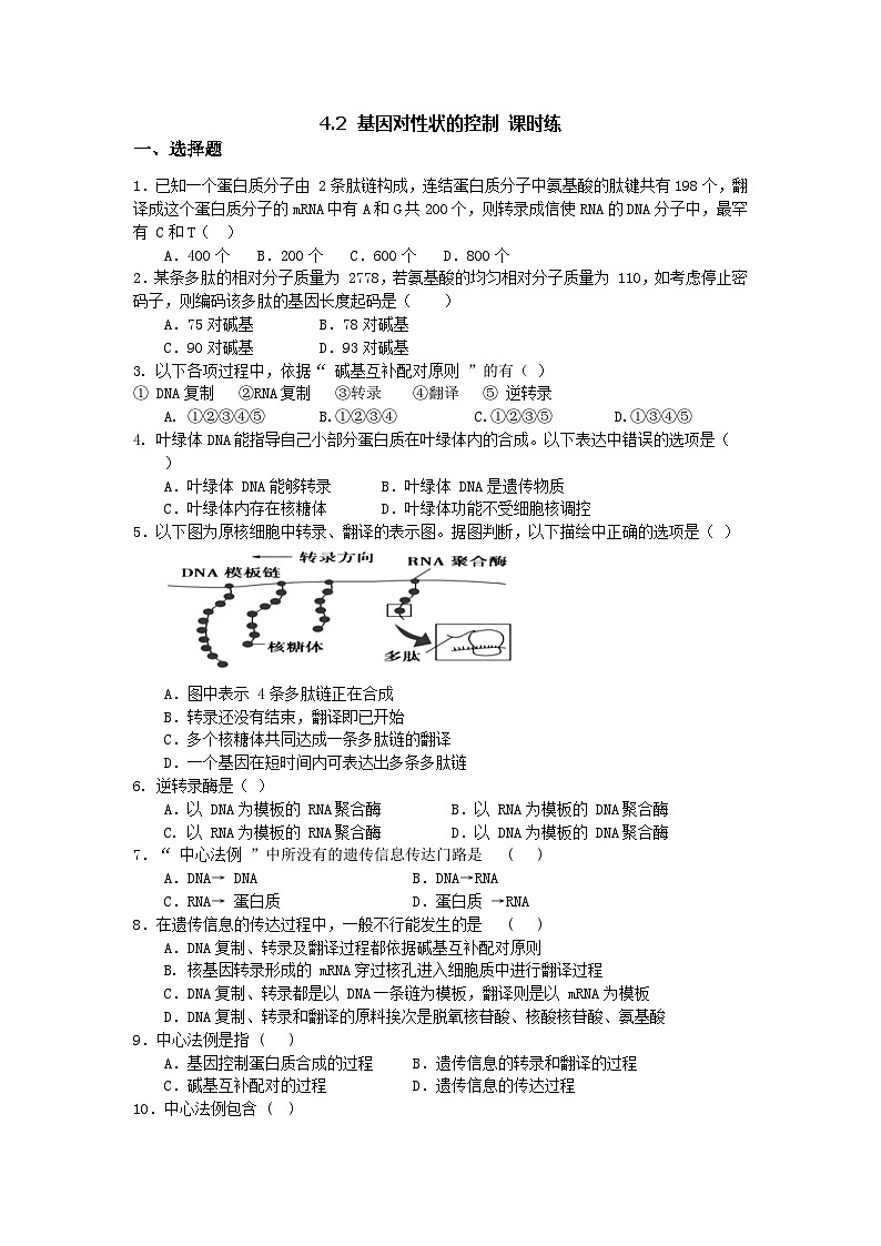 人教版（2019）高中生物必修二 第四章 第二节 基因表达与性状的关系 课时练（含答案）第1页