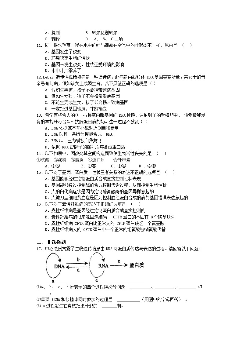 人教版（2019）高中生物必修二 第四章 第二节 基因表达与性状的关系 课时练（含答案）第2页