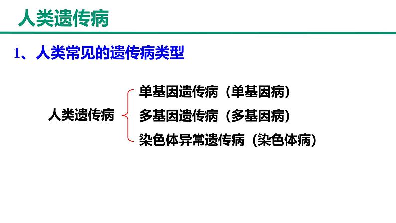 人教版（2019）高中生物必修二 第五章 第三节 人类遗传病 课件ppt第5页