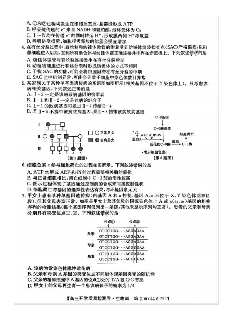 山西省卓越联盟2025学年高三下学期2月开学质量检测生物及答案第2页