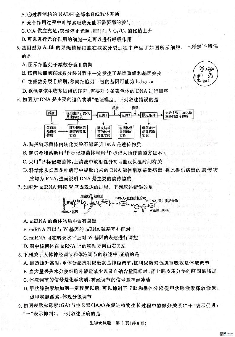 2025河南省青桐鸣大联考高三下学期2月月考试题生物PDF版无答案第2页