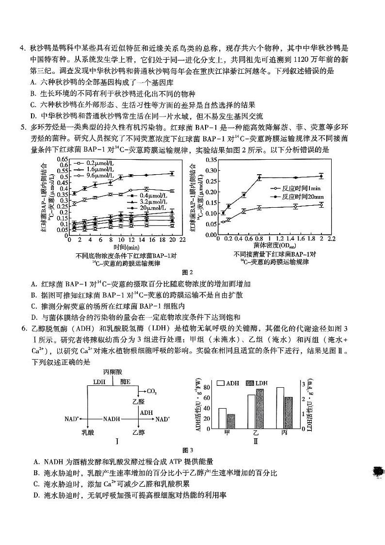 巴蜀中学2025届高考适应性月考卷（五）生物第2页
