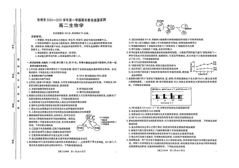 河北省沧州市2024-2025学年高二上学期期末生物试题第1页