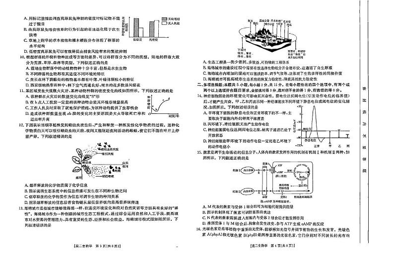 河北省沧州市2024-2025学年高二上学期期末生物试题第2页