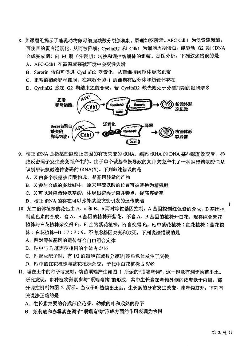 吉林省长春市东北师范大学附属中学2024-2025学年高三下学期开学考试生物试题第3页