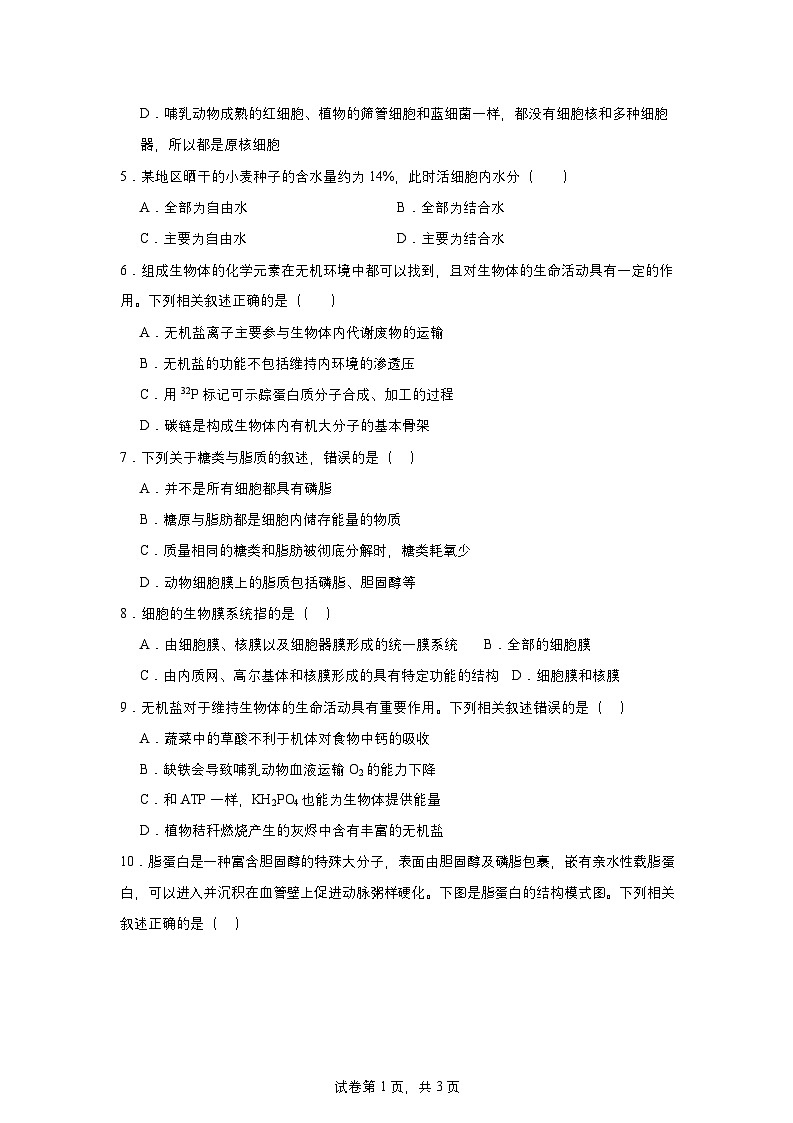 湖南省岳阳市汨罗市第一中学2024-2025学年高一下学期开学考试生物试题第2页