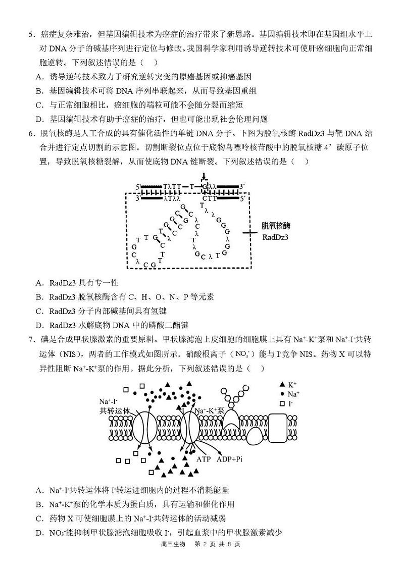 广东省惠州市惠东县2024-2025学年高三下学期2月第三次质量检测生物试题第2页