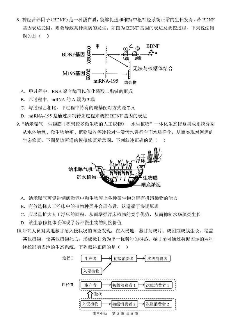 广东省惠州市惠东县2024-2025学年高三下学期2月第三次质量检测生物试题第3页