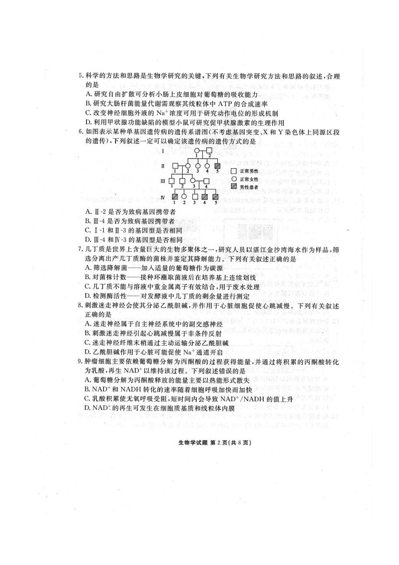 广东省江门市2024-2025学年高三下学期2月联考生物试卷第2页