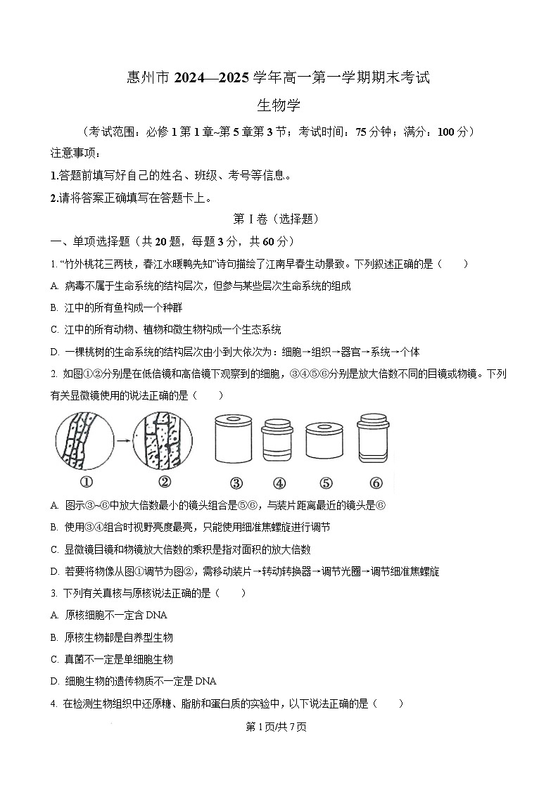 广东省惠州市2024-2025学年高一上学期期末质量检测生物试卷  Word版无答案第1页