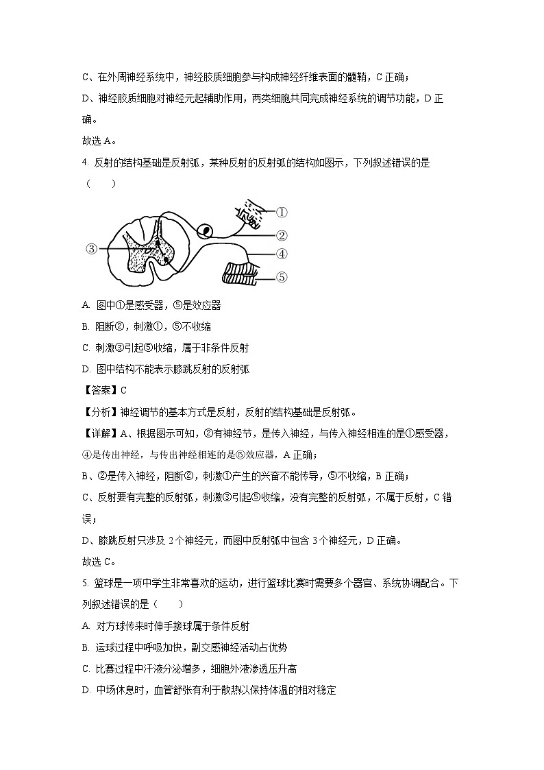 2024-2025学年四川省高二上学期期中调研测试生物试卷（解析版）第3页