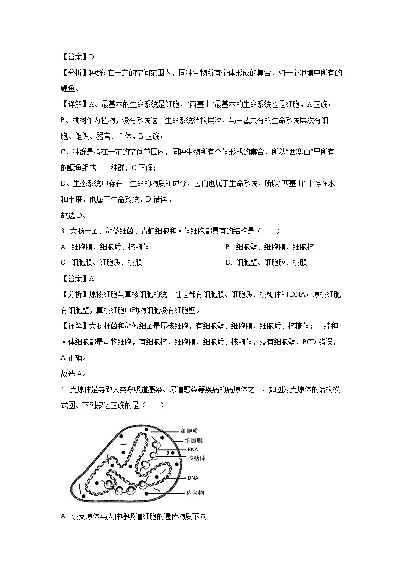2024-2025学年四川省广元市直属学校高一上学期期中考试生物试卷（解析版）第2页