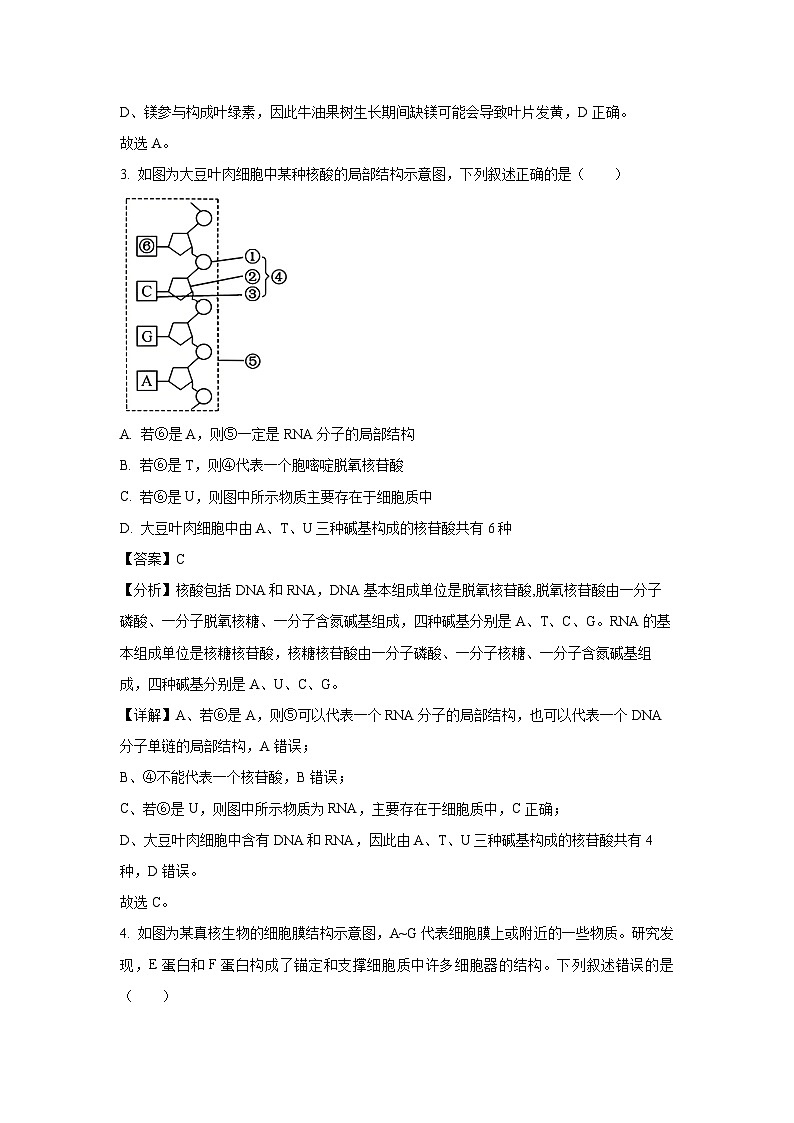 2024-2025学年河南省新高中创新联盟TOP二十名校高一上学期12月调研考试生物试卷（解析版）第2页