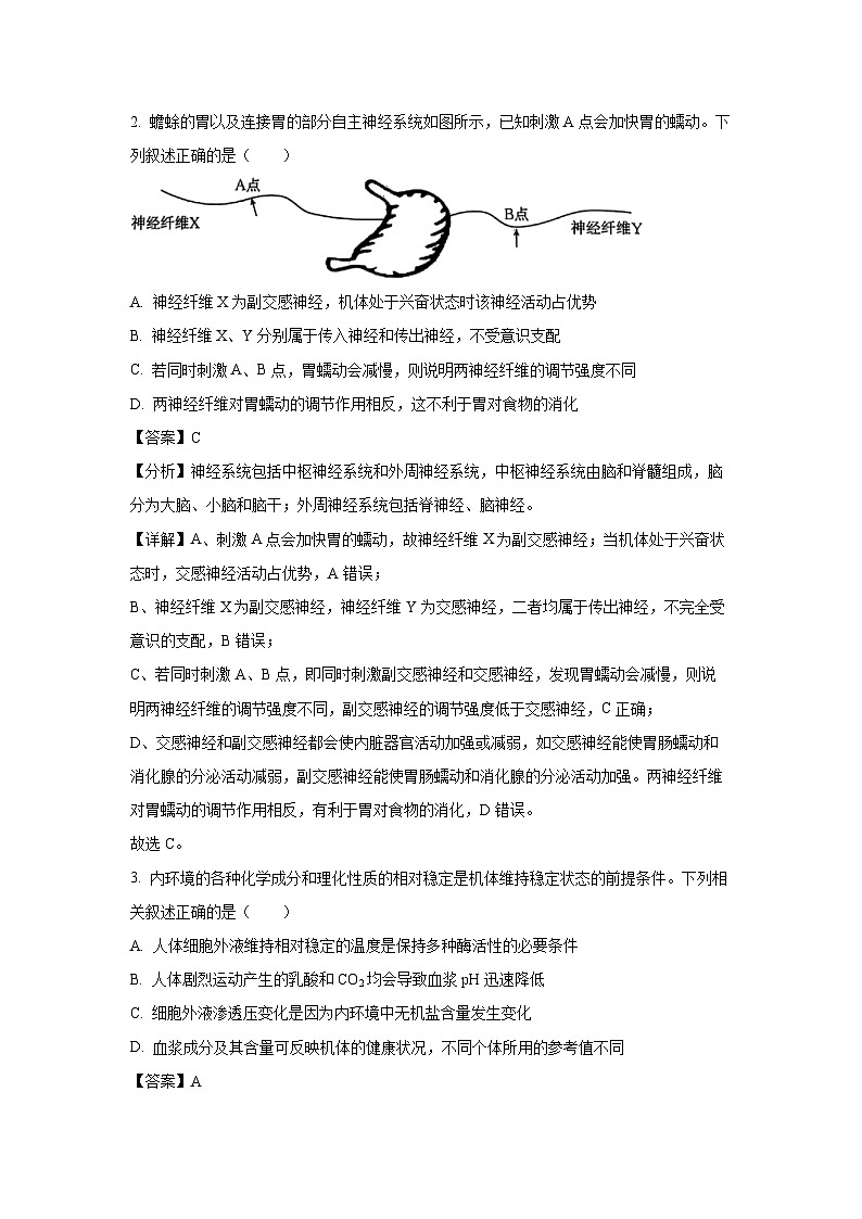 2024-2025学年广东省部分名校高二上学期联合检测月考生物试卷（解析版）第2页