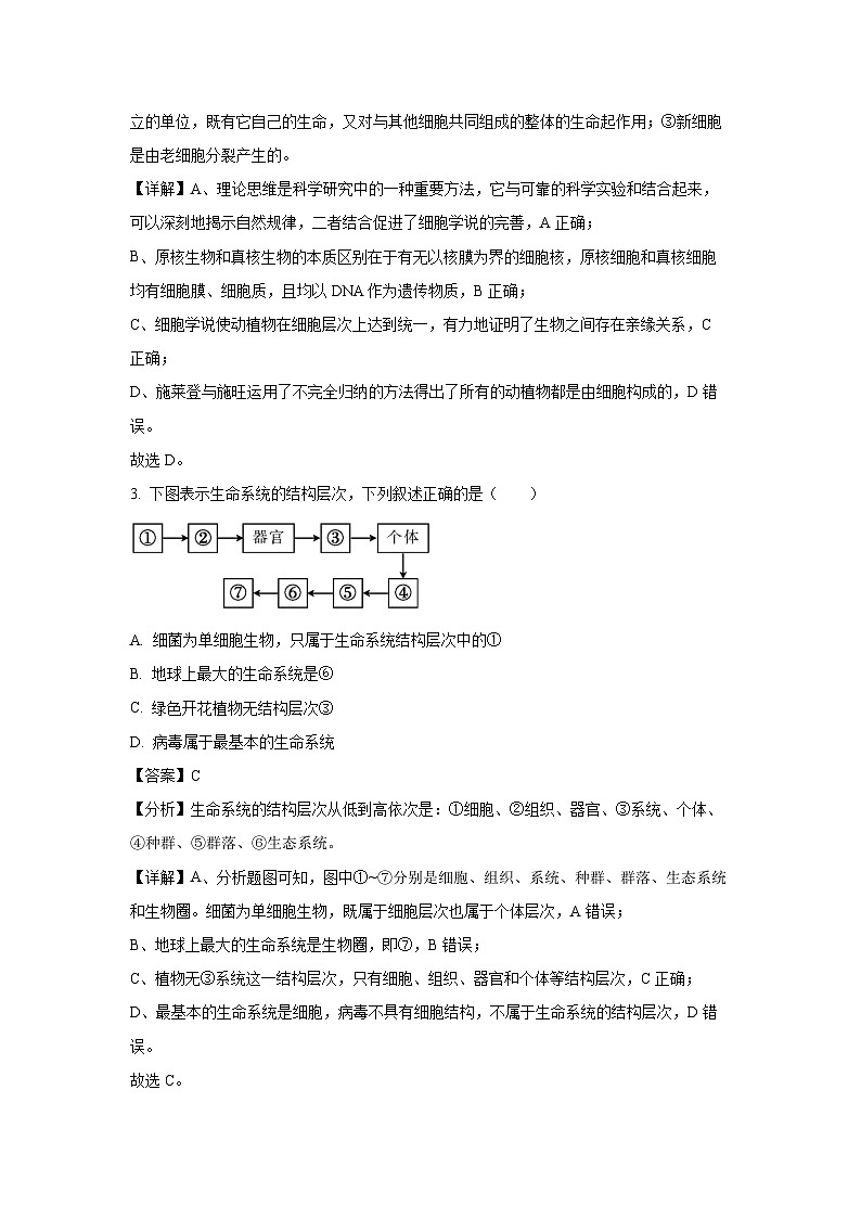 2024-2025学年河南省顶级名校高一上学期10月月考生物试卷（解析版）第2页