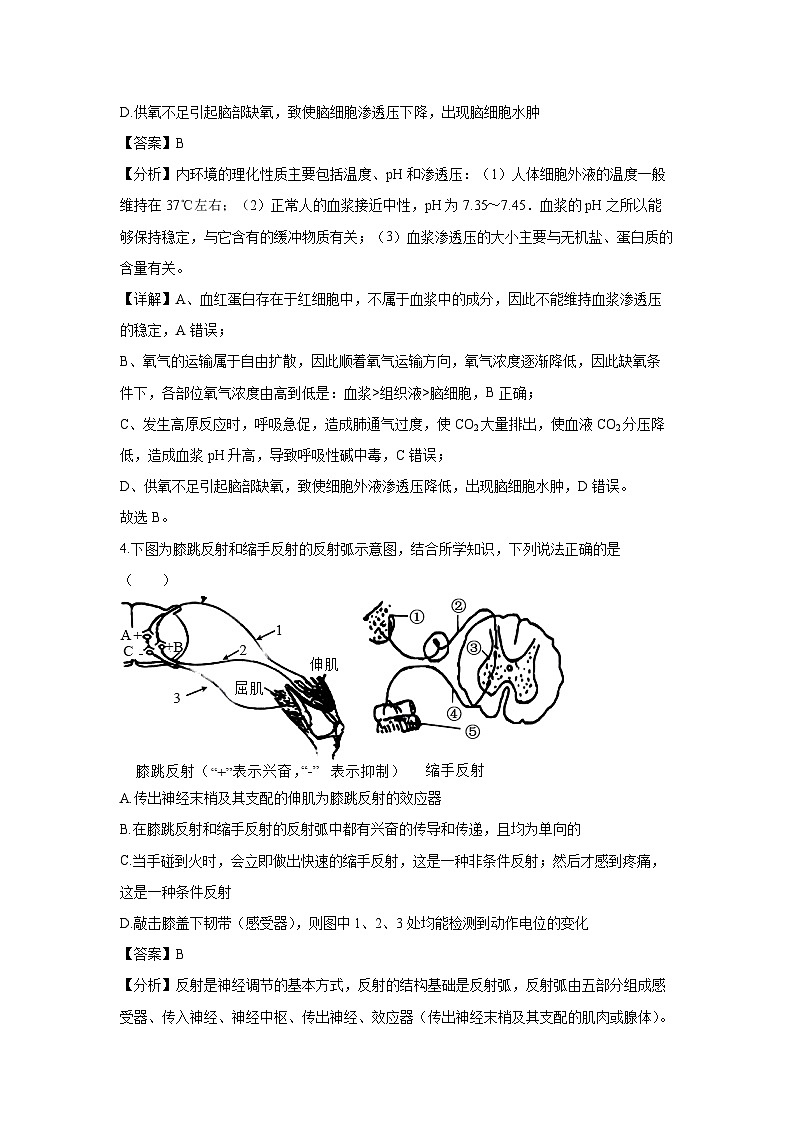 2024-2025学年湖南省市县高二上学期12月联考生物试卷（解析版）第3页