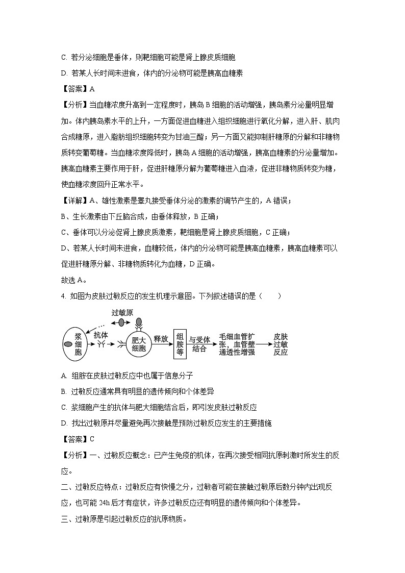 2024-2025学年河北省邯郸市高二上学期第二次联考月考生物试卷（解析版）第3页