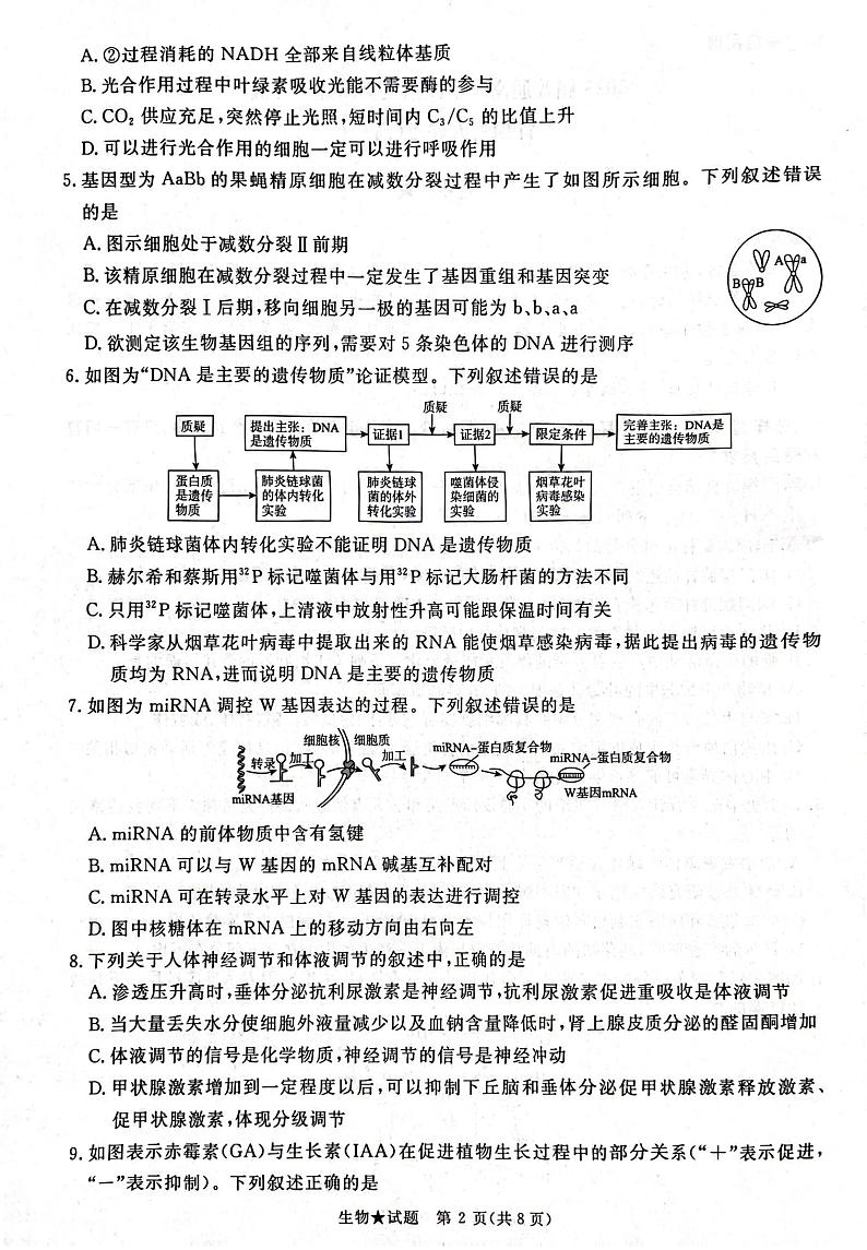 2025河南青桐鸣高三下学期2月考生物试卷+答案第2页