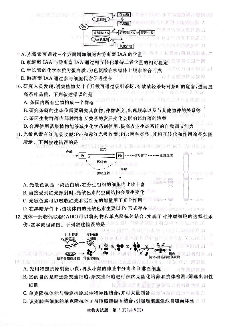 2025河南青桐鸣高三下学期2月考生物试卷+答案第3页