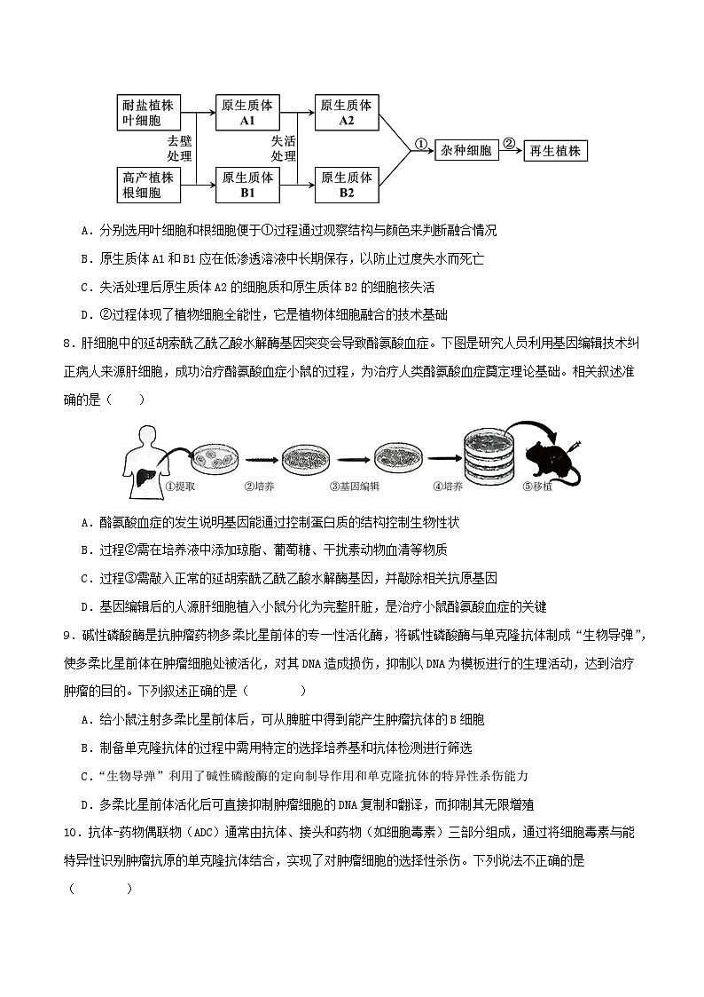专题八  生物技术与工程-2025年高考生物二轮复习讲练（新高考通用）（原卷版）第3页