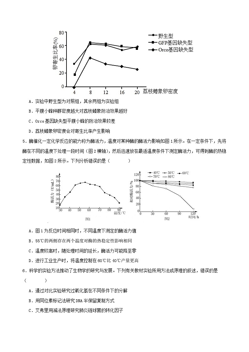 专题九  实验与探究-2025年高考生物二轮复习讲练（新高考通用）（原卷版）第2页