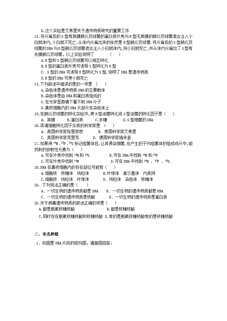 人教版（2019）高中生物必修二 第三章 第一节 DNA是主要的遗传物质 课时练（含答案）第2页
