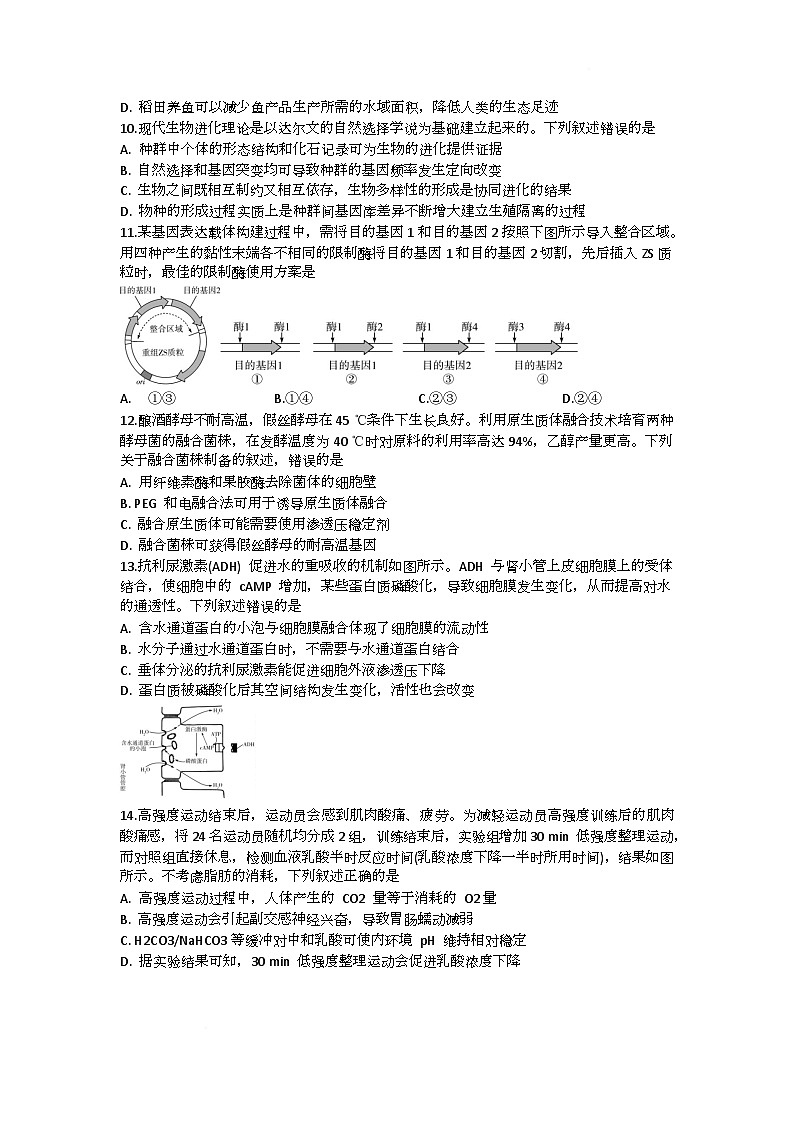 湖南省部分学校2024-2025学年高三下学期2月联考生物试题第3页