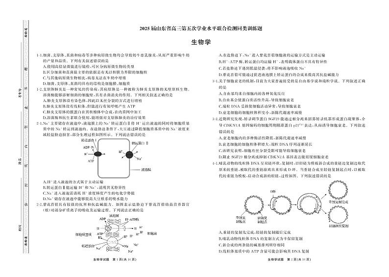 25.2齐鲁名校大联考高三生物学同类训练题正文第1页
