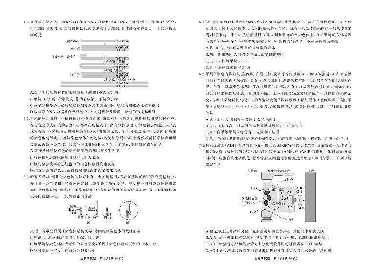 25.2齐鲁名校大联考高三生物学同类训练题正文第2页