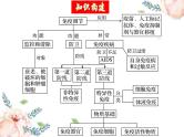 第28讲 免疫调节（课件）-2025年高考生物一轮复习课件+讲义+专练（新教材新高考）