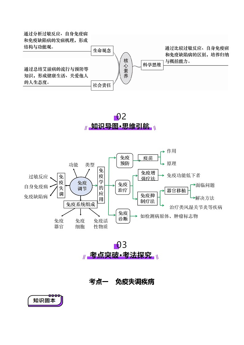 第29讲 免疫失调和免疫学的应用（讲义）（原卷版）第3页